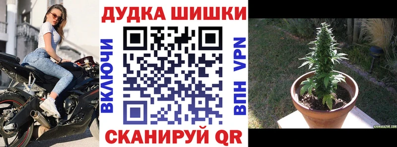 Канабис планчик  ссылка на мегу вход  Старая Купавна 